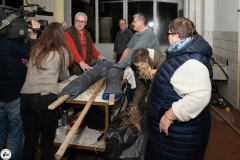 20250303-05-Streimaennchen-0001