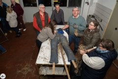 20250303-05-Streimaennchen-0008