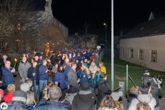 20250303-05-Streimaennchen-0061