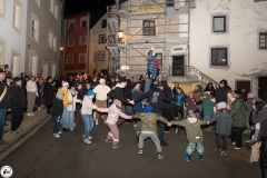 20250303-05-Streimaennchen-0077