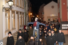 20250303-05-Streimaennchen-0090